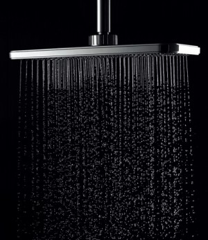 Shower Head